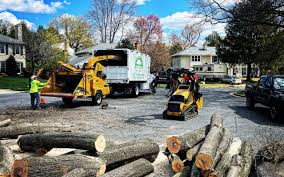 Best Firewood Processing and Delivery  in Morse, LA