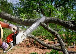 Best Weed Control  in Morse, LA