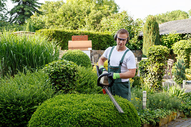 Best Palm Tree Trimming  in Morse, LA